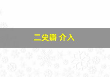 二尖瓣 介入